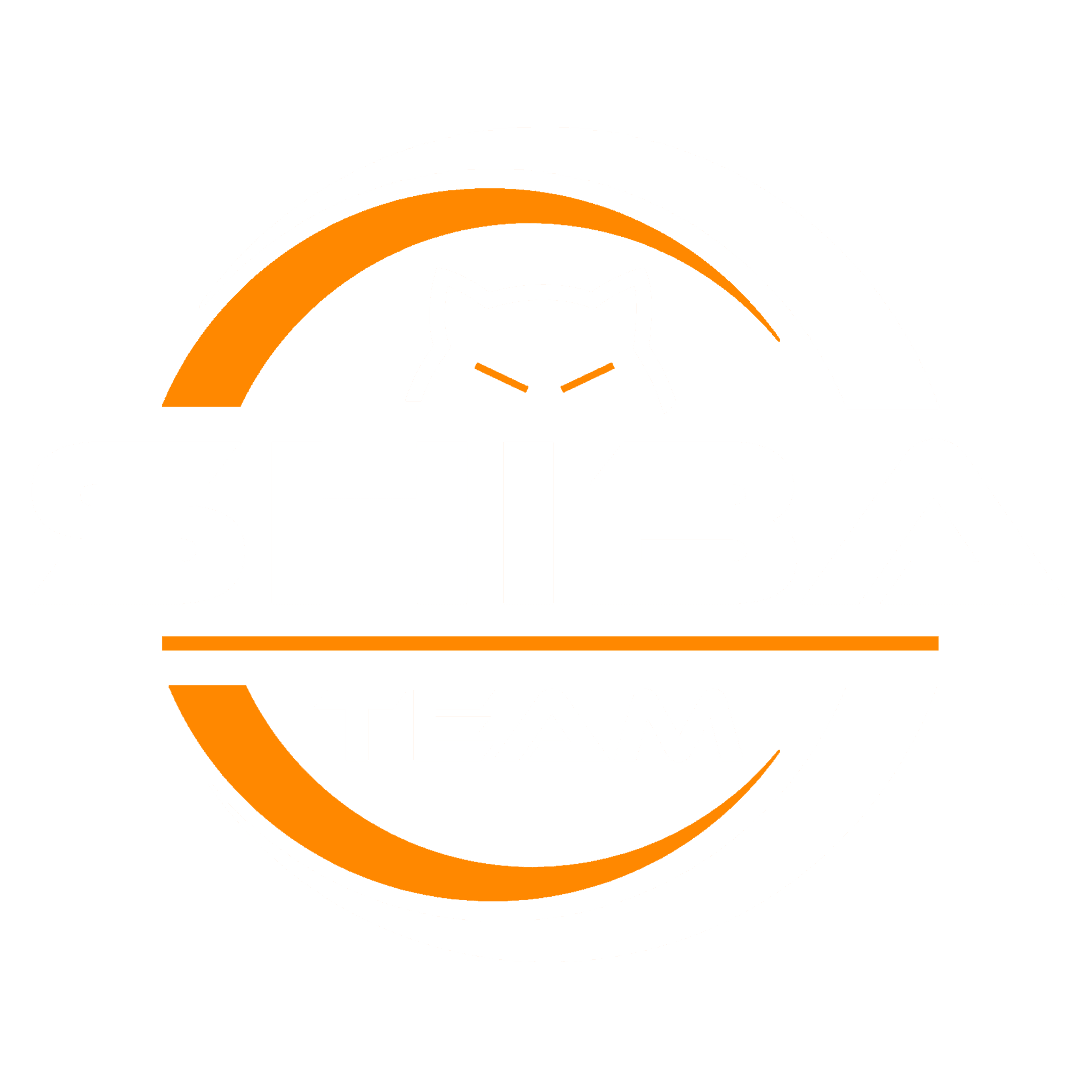 TeamShiba Logo